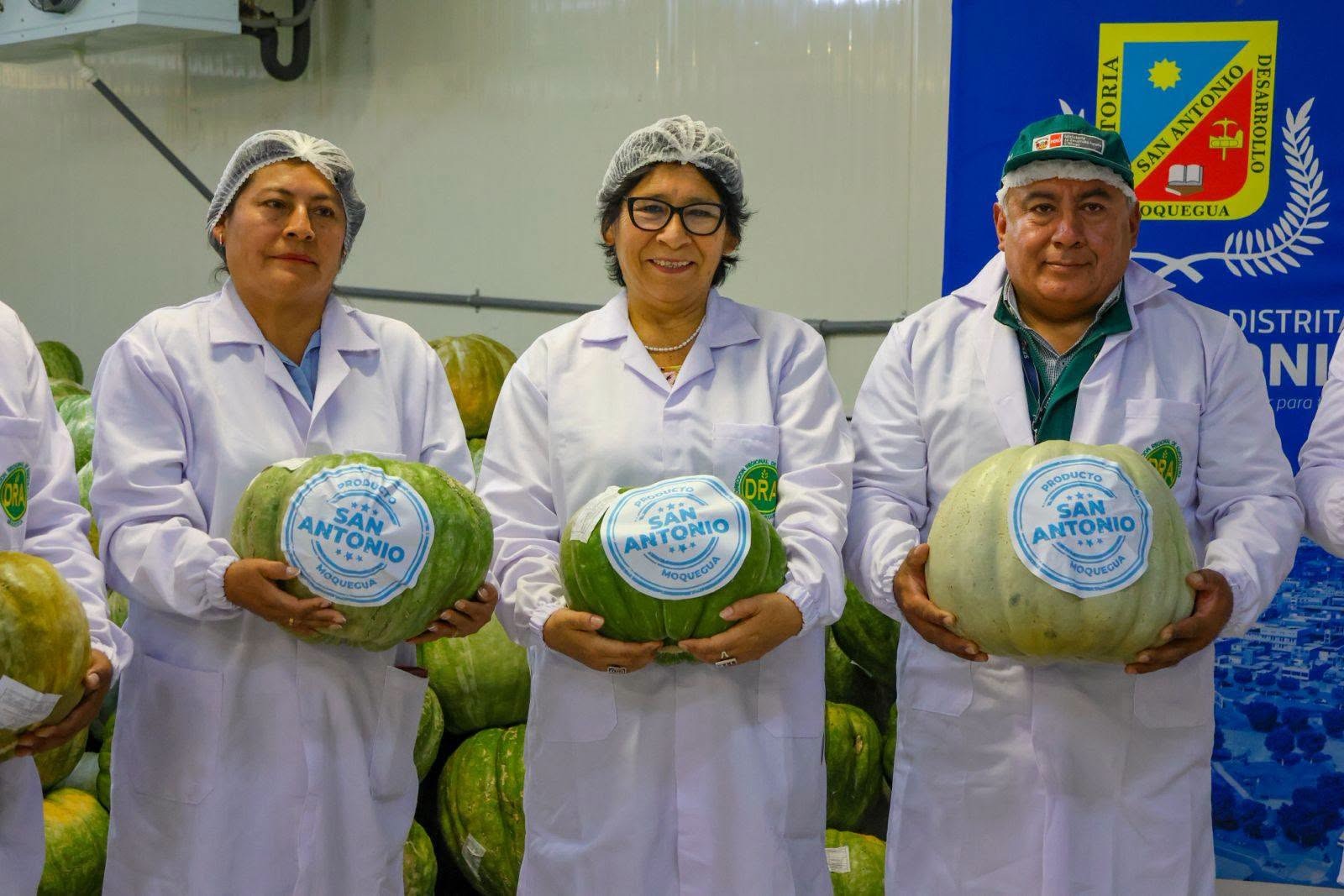 Moquegua: Distrito de San Antonio exporta 77 toneladas de Zapallo a Chile en menos de 30 días