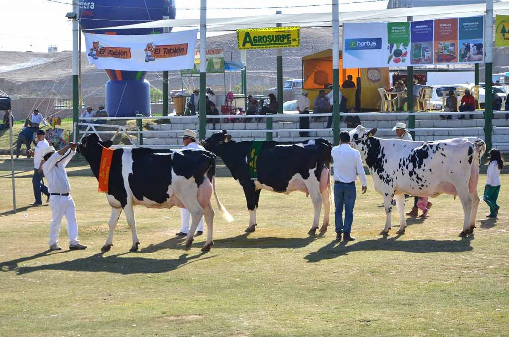 Arequipa: Expo Majes 2026, el agro que impulsa el futuro se prepara para una gran fiesta productiva