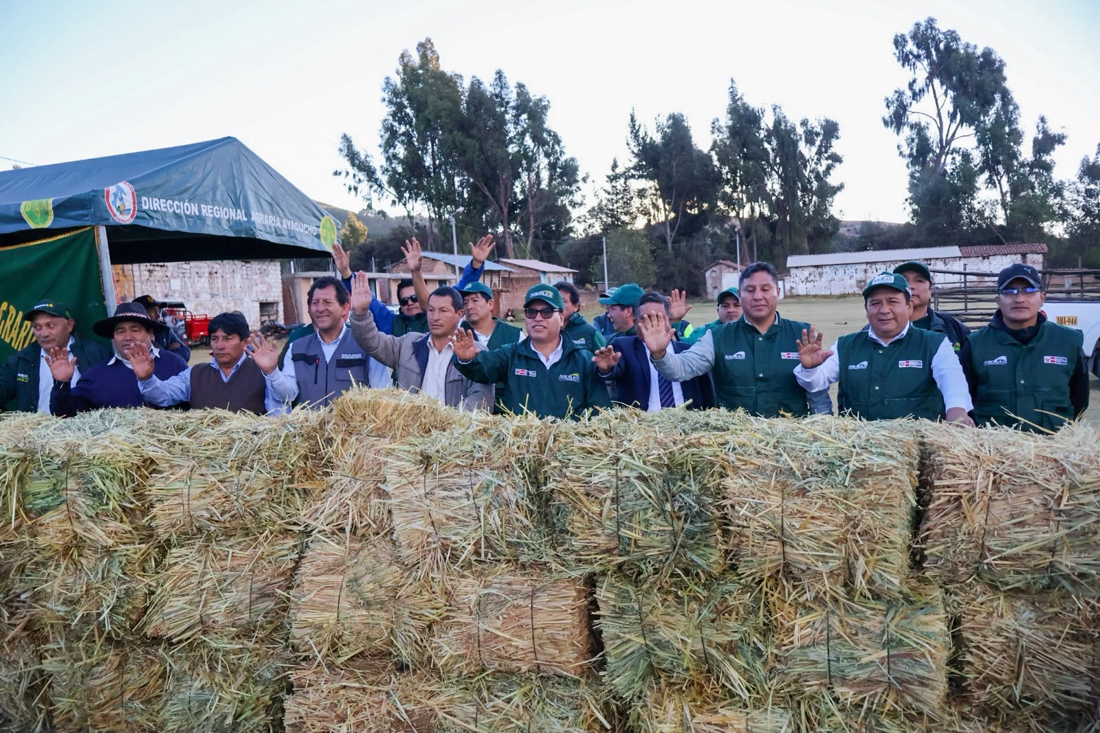 Ayacucho: Agro rural protege ganadería de más de 1,200 familias con entrega de kits de conservación de forraje y alimento suplementario