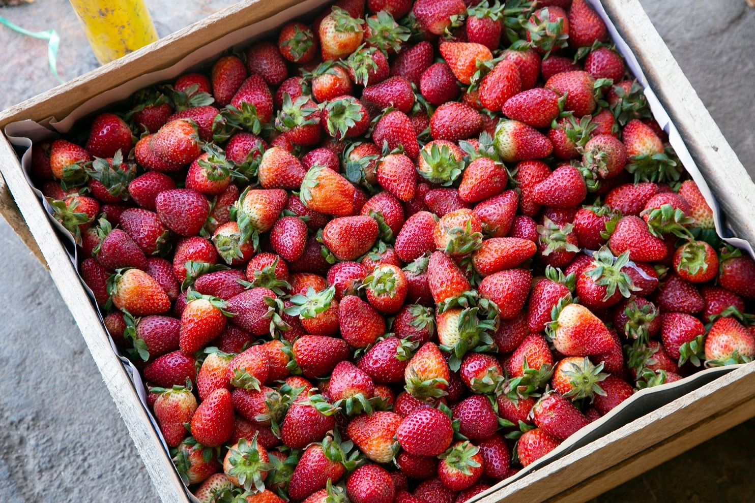 Adex busca diversificar oferta de frutas en le exterior