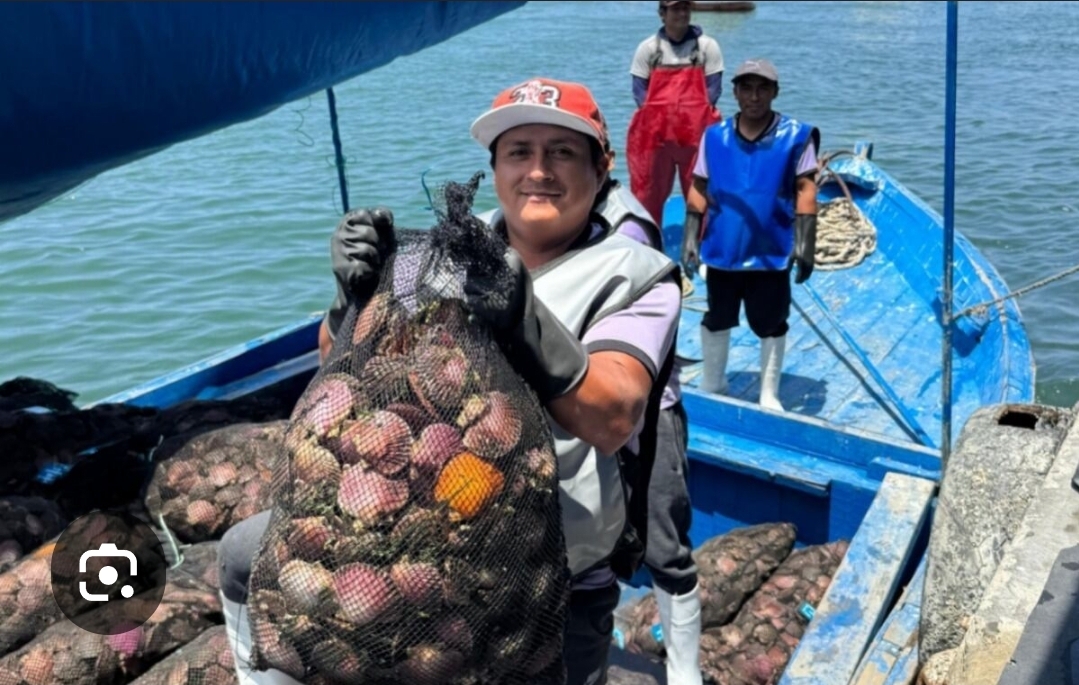 CIP Lima analiza la maricultura como alternativa para diversificar la pesca artesanal frente al Fenómeno El Niño