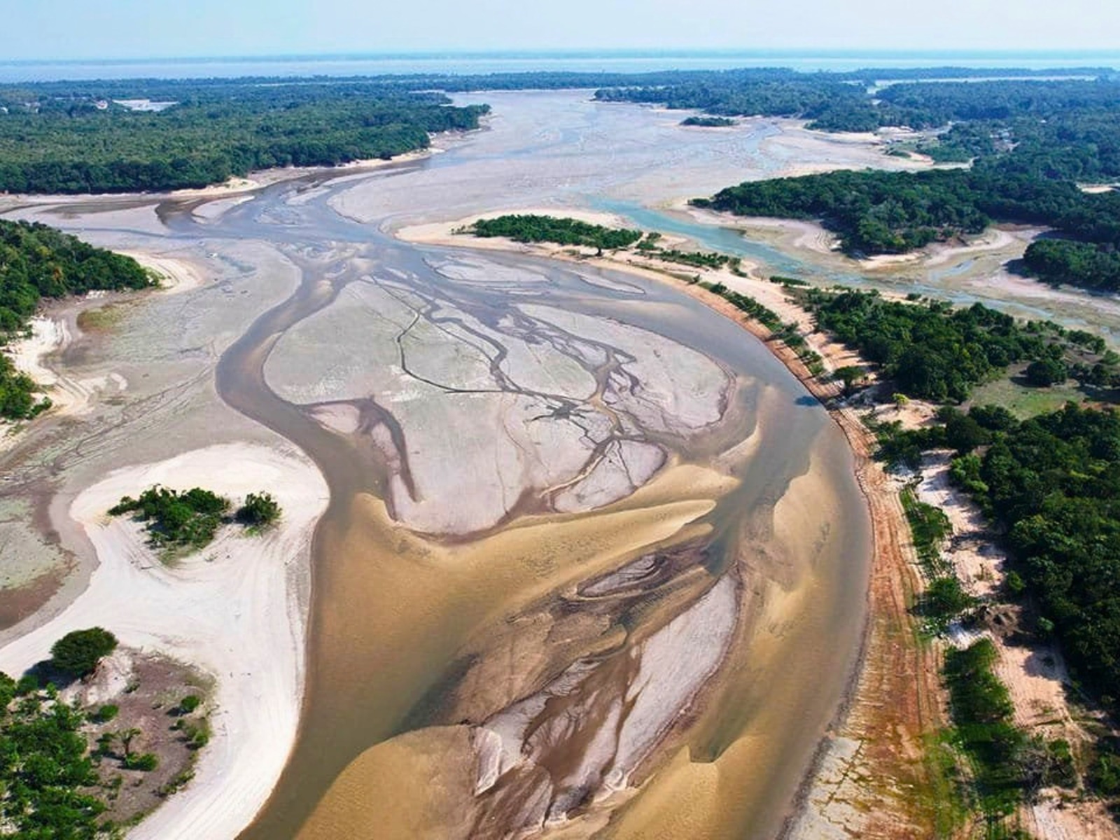 Cambio climático y El Niño: cómo reducir los impactos de la sequía en la pesca y la piscicultura amazónica