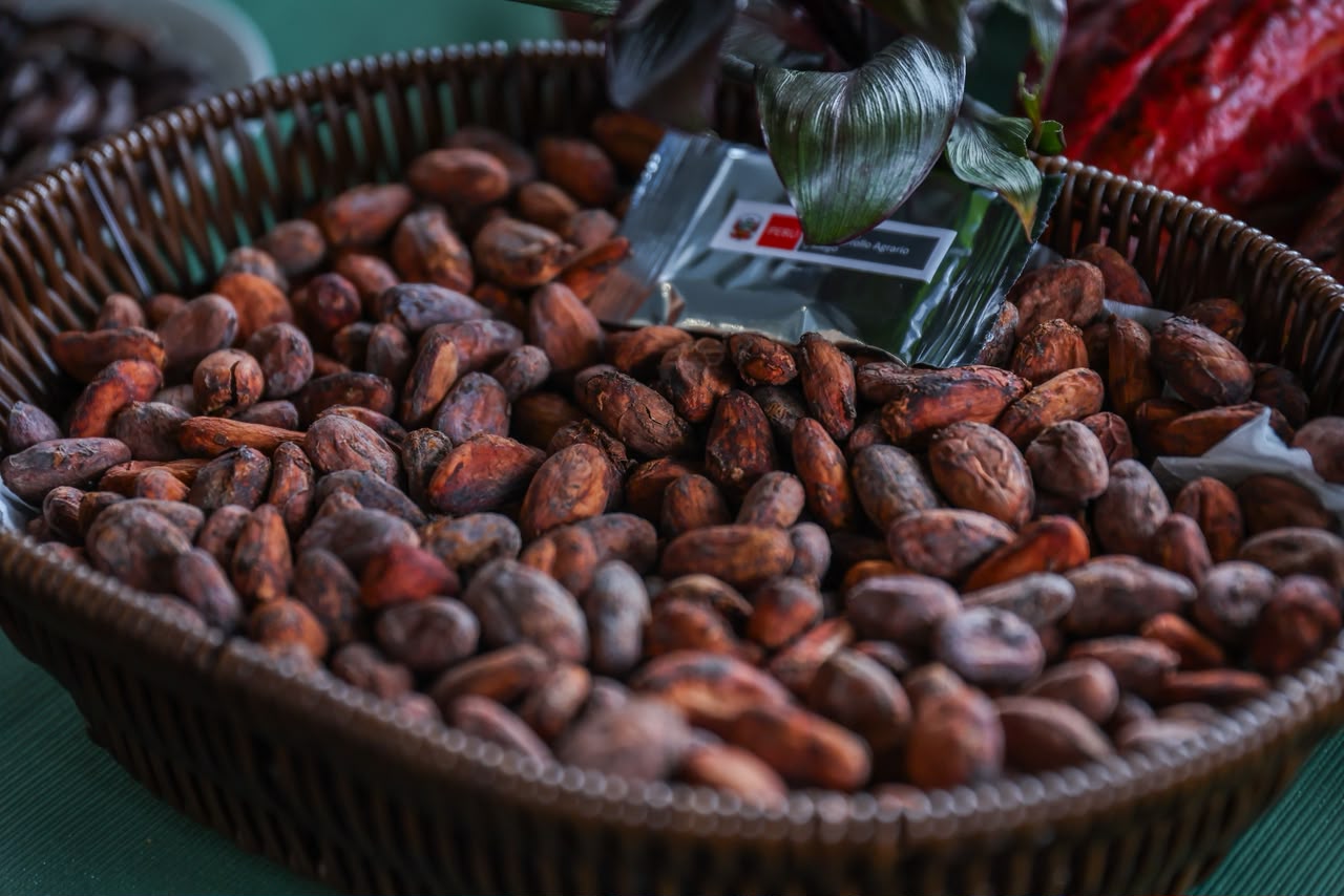 El Perú es uno de los principales exportadores de cacao y derivados del mundo