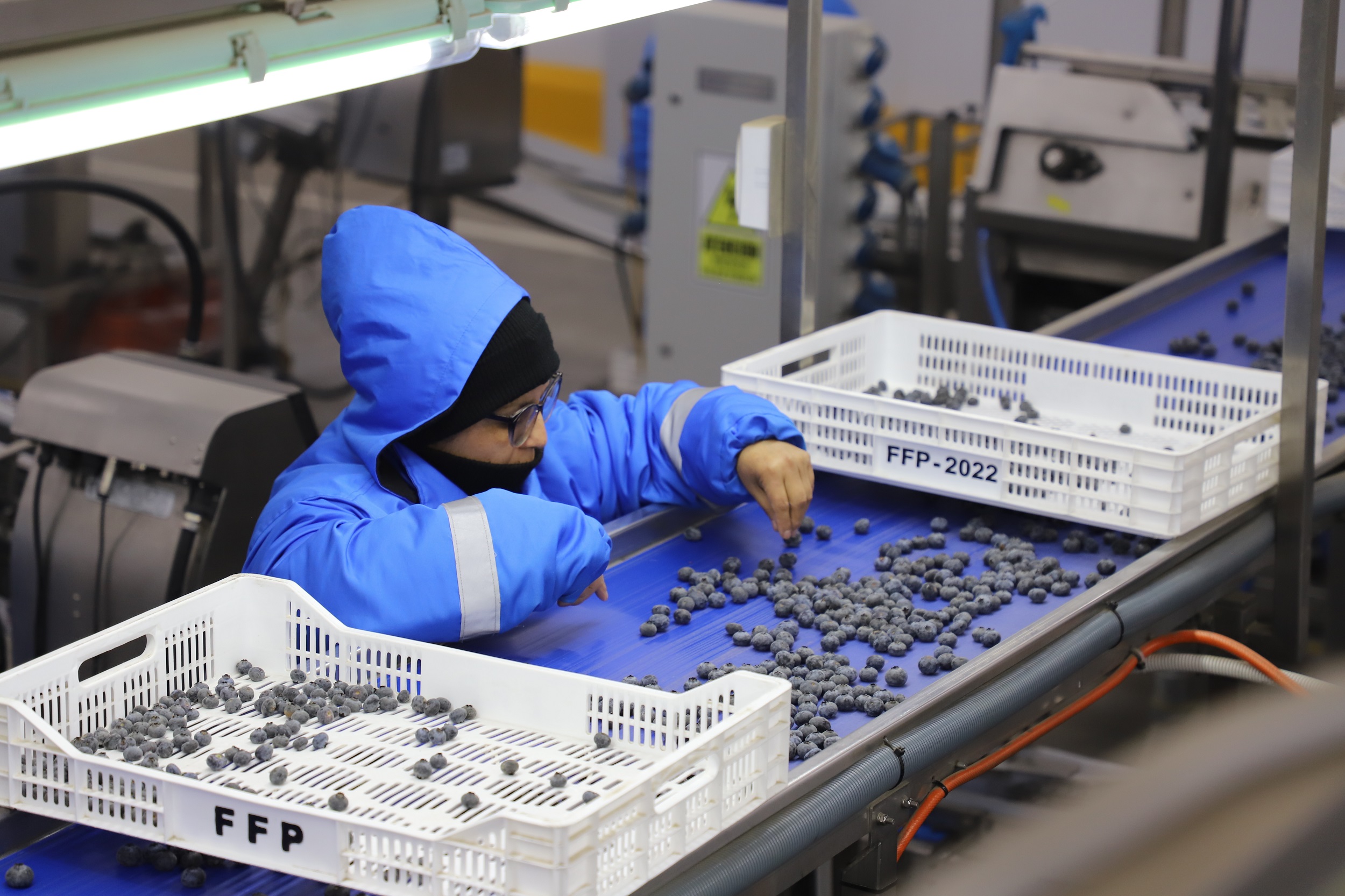 Exportaciones peruanas crecieron 34.3% entre enero y agosto