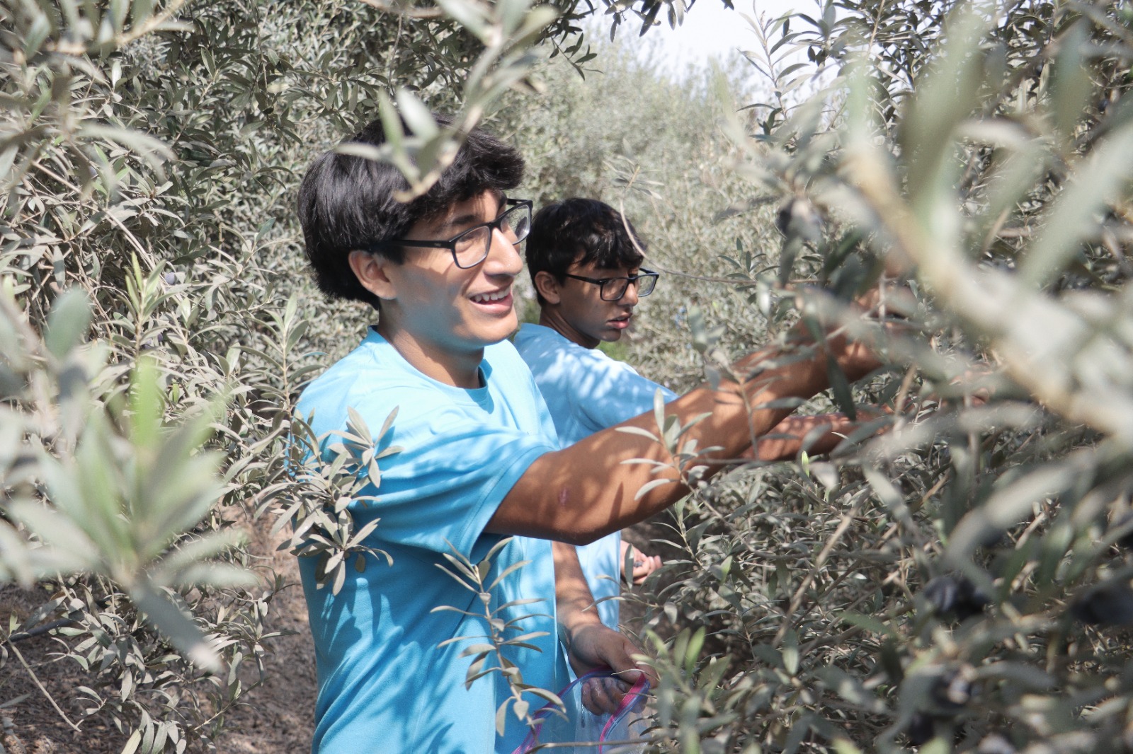Escolares analizan suelo, clima y productividad agrícola y llevan sus cultivos hasta la comercialización