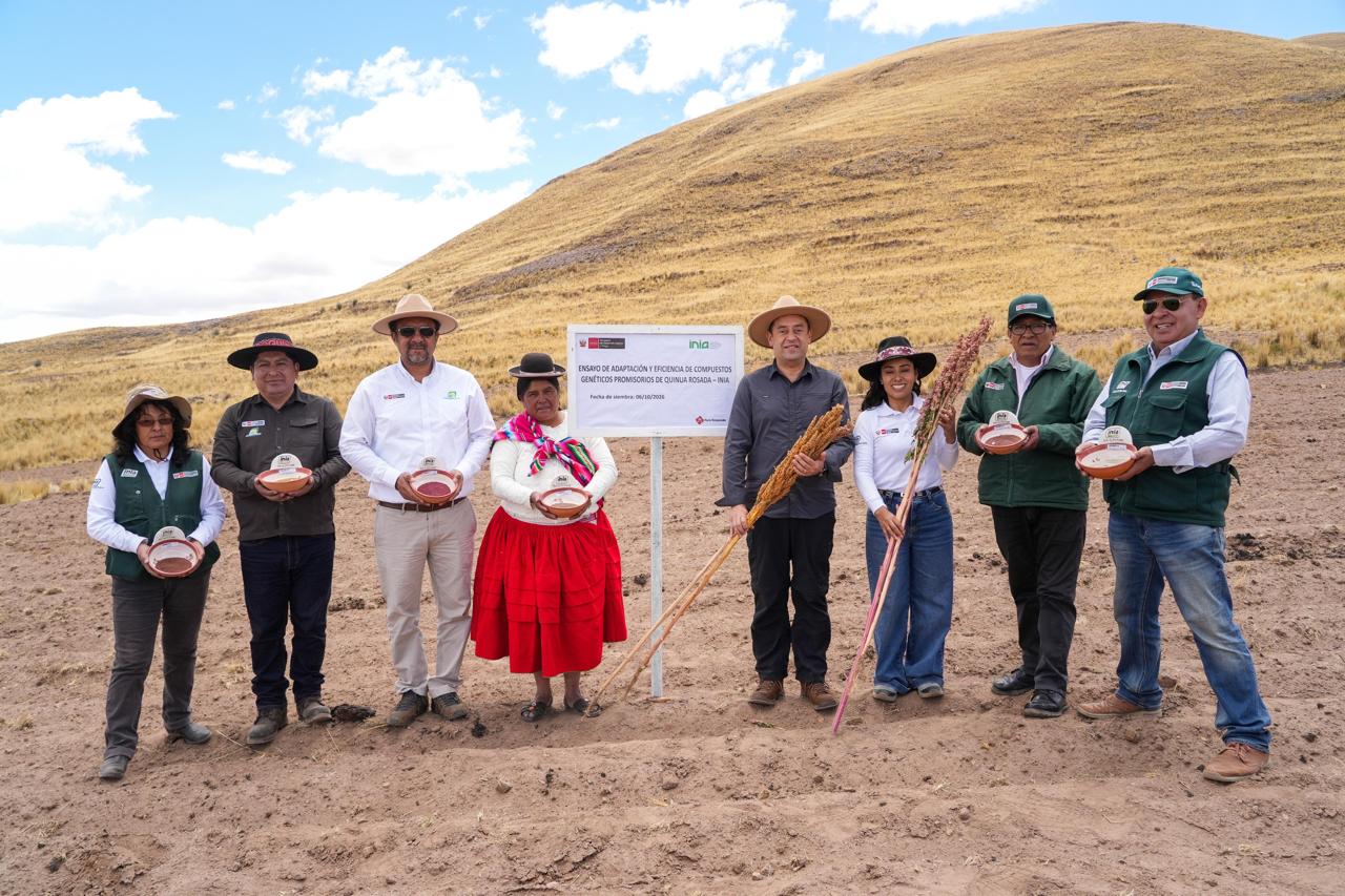 Puno: Instalan centro para almacenar y mejorar la comercialización de quinua