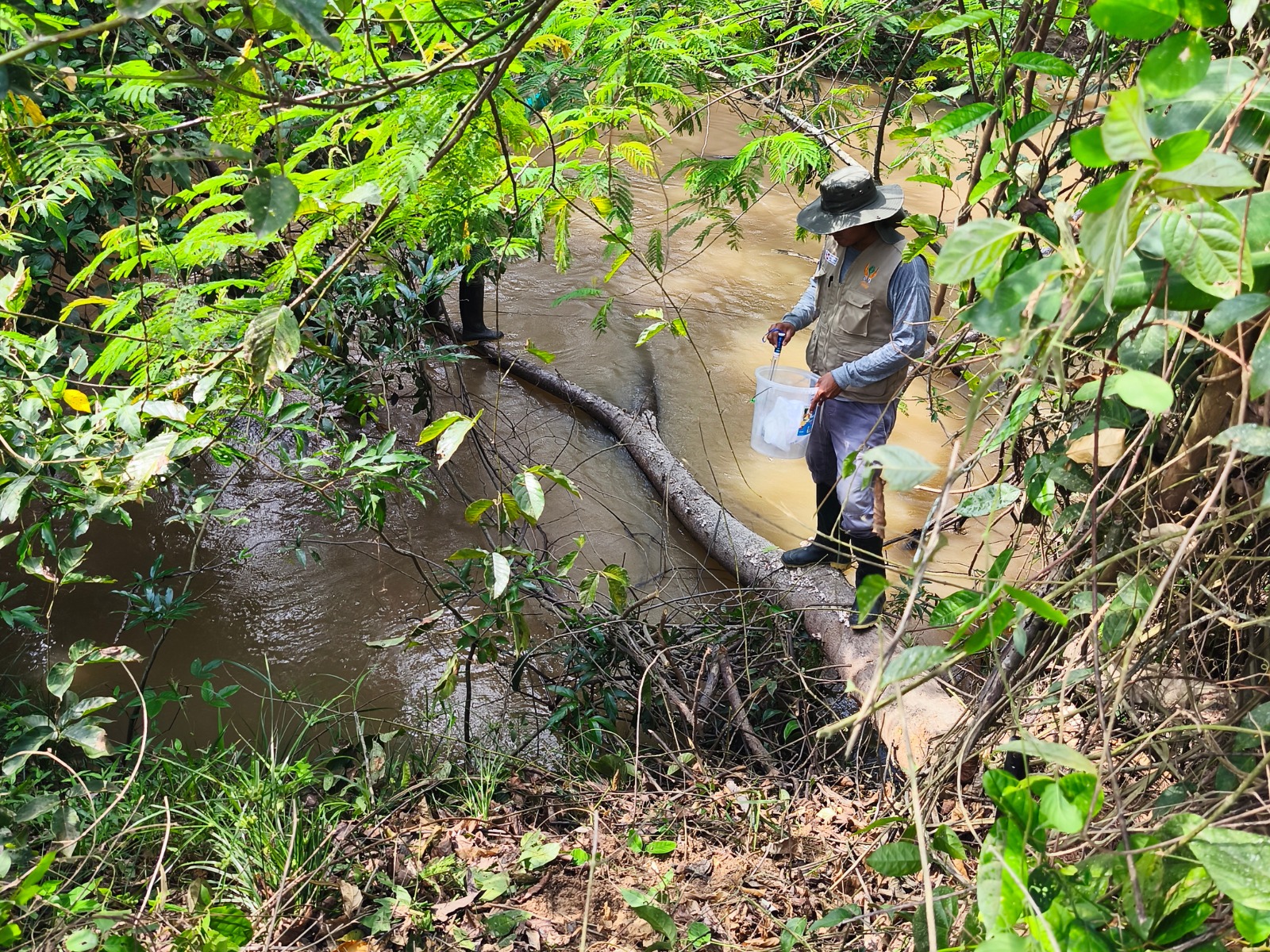 Ucayali: Bosque de la microcuenca Agua Blanca se conserva casi intacto cerca de su desembocadura