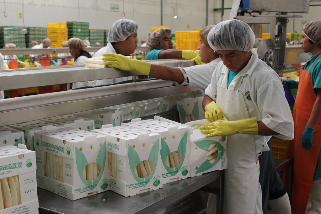 Se registraron más de 1 millón y medio de empleos asociados a las exportaciones